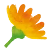 🌼