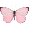 🦋