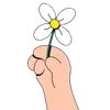 🌼