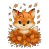🦊