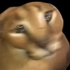 😳