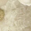 🤩