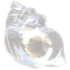 🐚