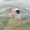 🤽‍♂️