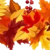 🍁