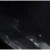 🤩