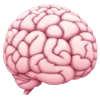 🧠