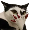 🫢