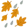 🍂