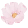 🌸