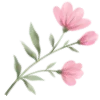 🌸