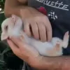 😍