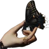 🦋