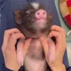 ☺️