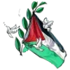 🇵🇸