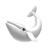 🐋