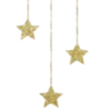 🌟