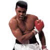 🥊