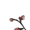 🤩