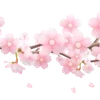 🌸