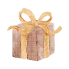 🎁