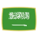 🇸🇦