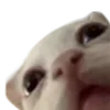 👀