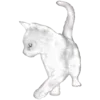 🐱