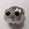 🥺
