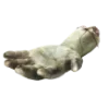 ✋