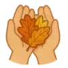 🍂