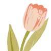 🌷