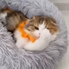 🐾