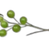 🌱