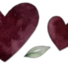 🌱