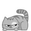 😼