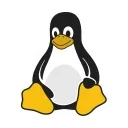 🐧