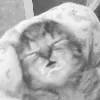 😴