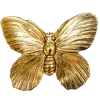 🦋
