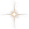 🌟