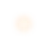 🟡