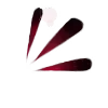 🩸