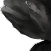 🖤