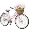 🚲