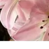 🤩