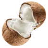 🥥