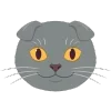 🐱
