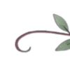 🌱