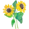 🌻