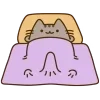 😻